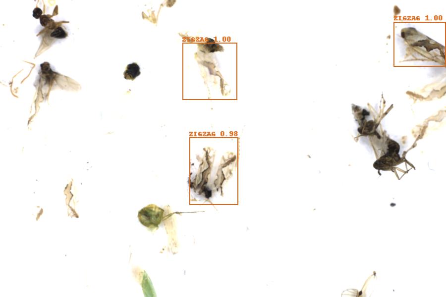 Image 30